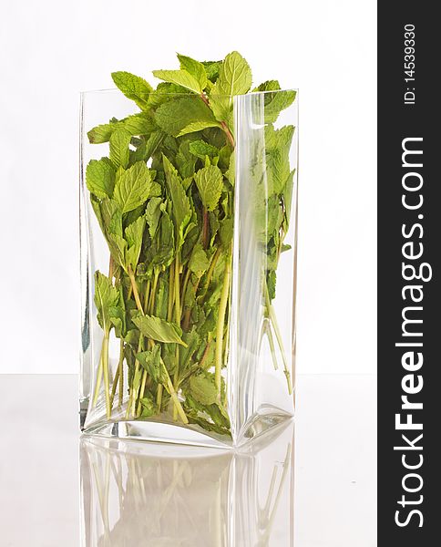 Fresh mint in a glass vase