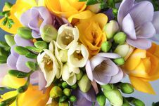 Beautiful Bouquet Of Fresh Freesia Flowers Stock Images