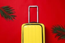 Free Stylish Suitcase And Exotic Leaves On Color Background Stock Image - 145312301