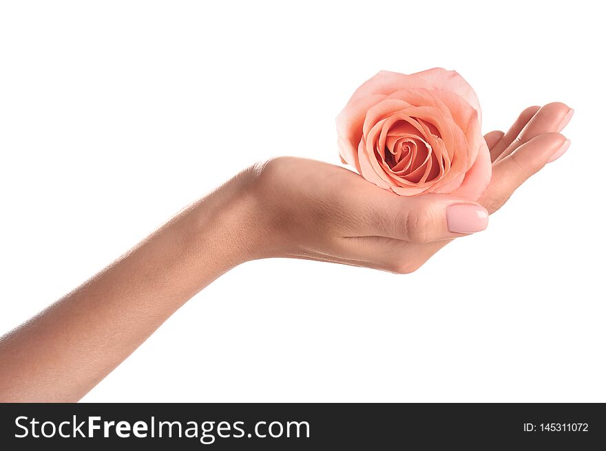 Woman holding rose on white background, closeup