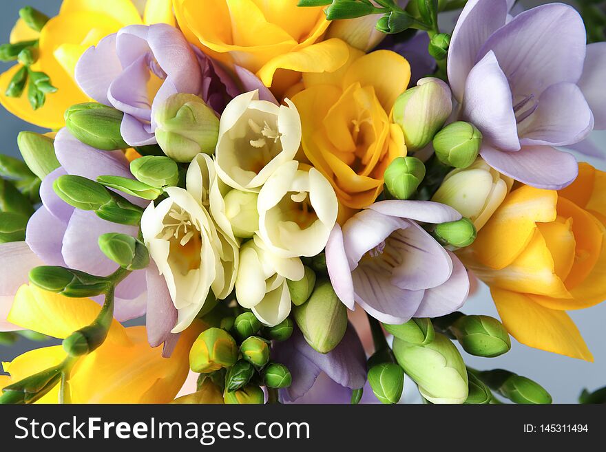 Beautiful bouquet of fresh freesia flowers, closeup