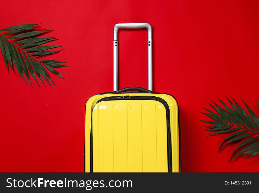 Stylish suitcase and exotic leaves on color background