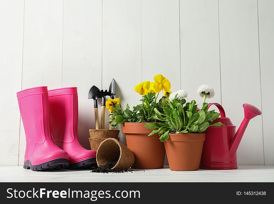 Blooming flowers in pots and gardening equipment on table