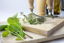 Free Chopping Herbs Stock Image - 14543841
