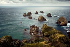 Nugget Point Stock Images Nugget Point Stock Images