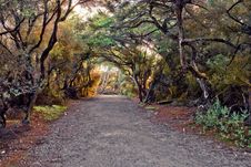 Park Alley Royalty Free Stock Photos Park Alley Royalty Free Stock Photos