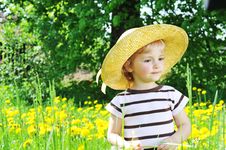 Girl In Blossoming Field Royalty Free Stock Images Girl In Blossoming Field Royalty Free Stock Images
