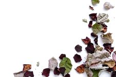 Dry Rose Petals Stock Photos Dry Rose Petals Stock Photos