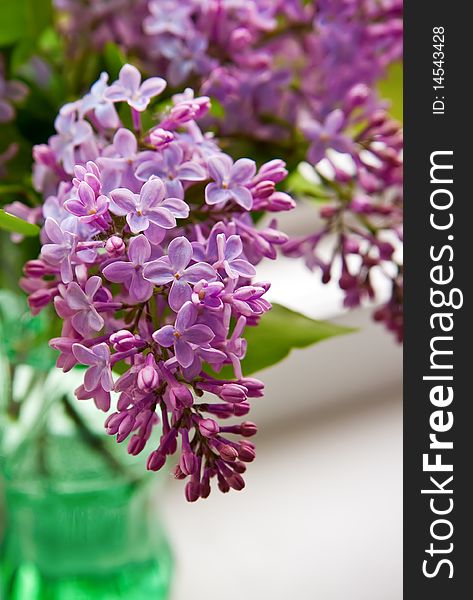 Close-up purple lilac in green vase. Close-up purple lilac in green vase