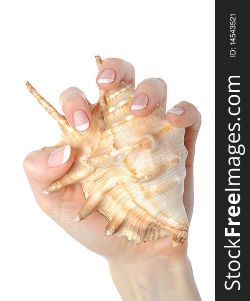 Beautiful hand with perfect french manicure on treated nails holding sea shell. isolated on white background. Beautiful hand with perfect french manicure on treated nails holding sea shell. isolated on white background