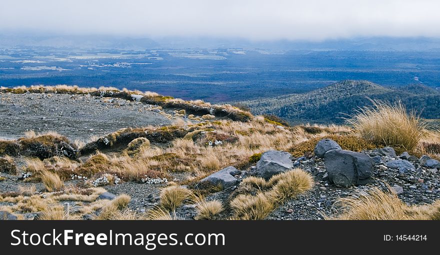 Hill country, Mt Ruapehu, North Island, New Zealand