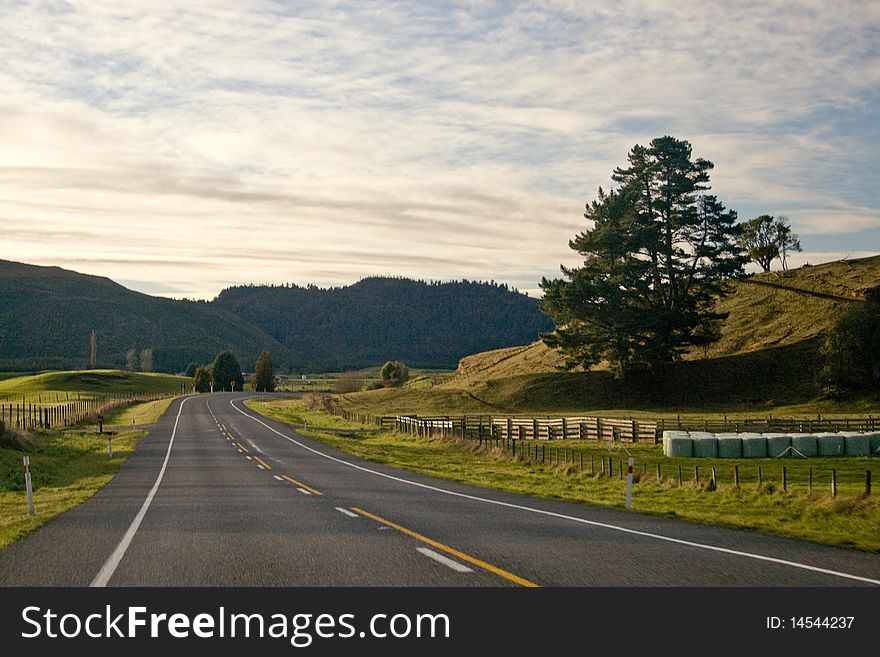 Road among hills with forest at skyline