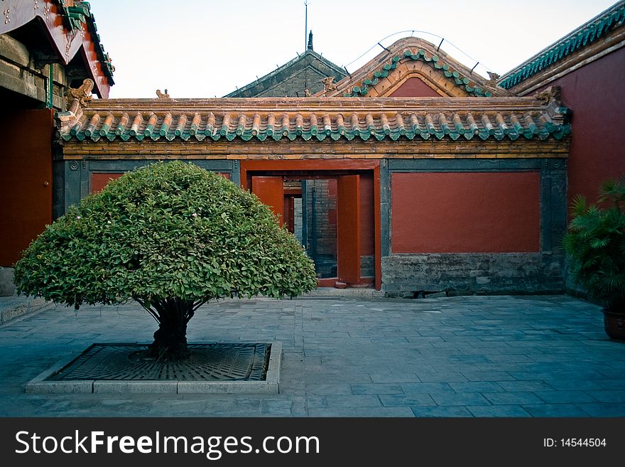 A tree next to gates, Shenyang, China. A tree next to gates, Shenyang, China