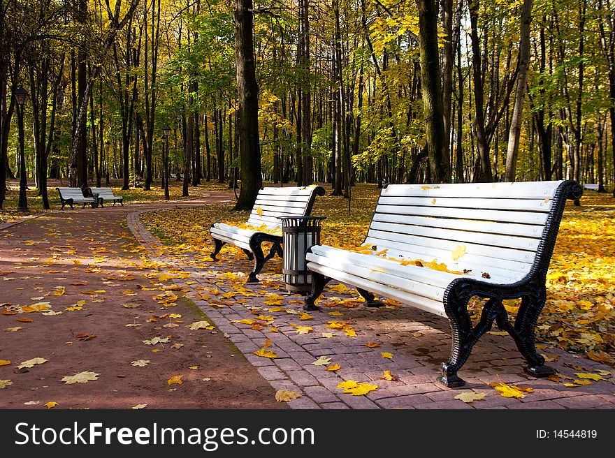 Benches in Idyllic park area. Benches in Idyllic park area