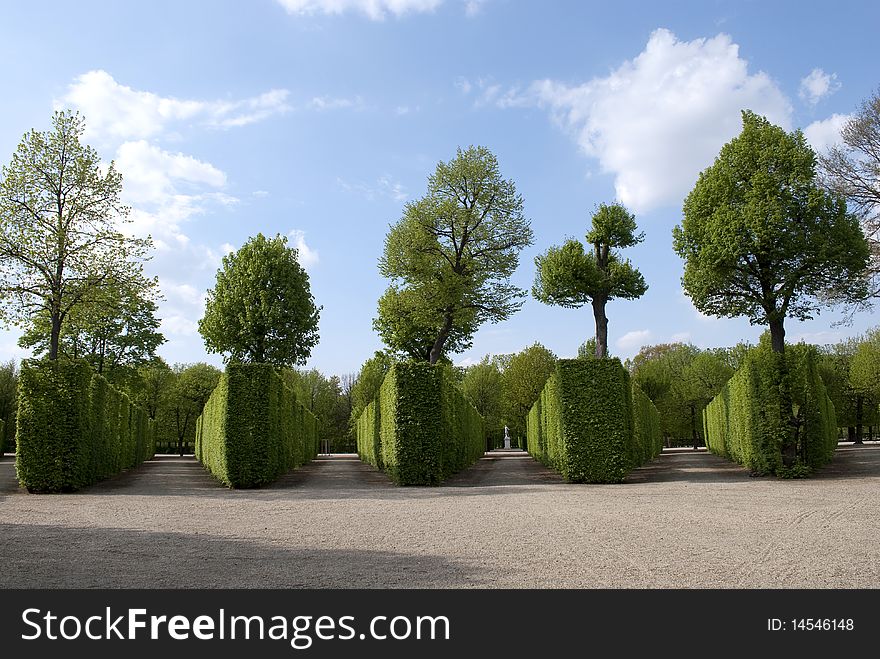 Garden Schonbrunn, trimmed bushes, Vienna, Austria