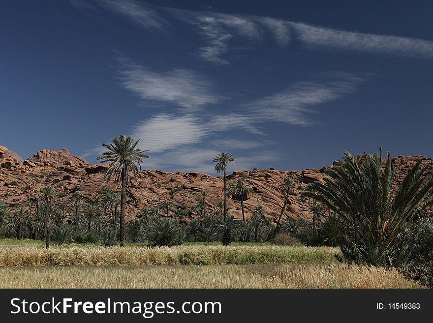 Mountains and palms with white clouds in Marocco