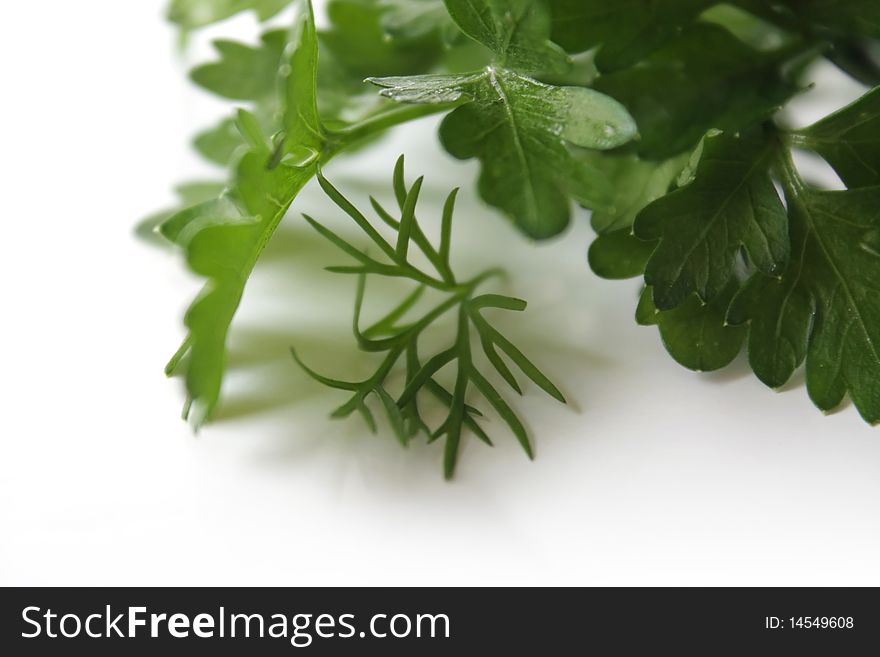 Parsley Leaves On A White Background
