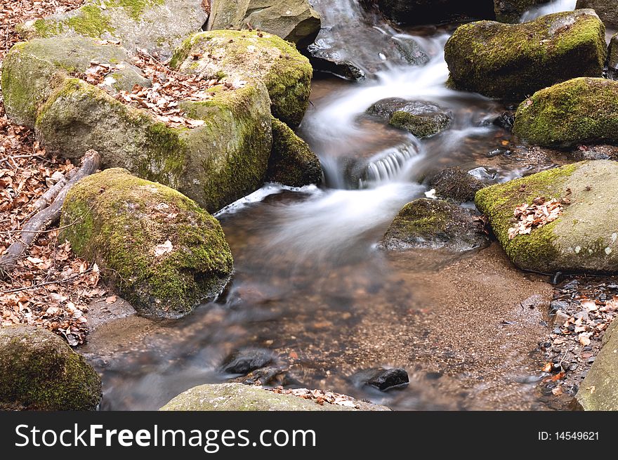 Forest stream and motion water