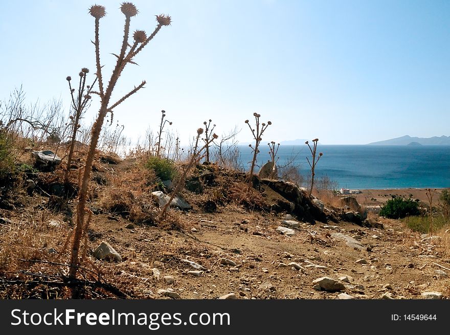 A dry sea landscape, island Kos (Cos)