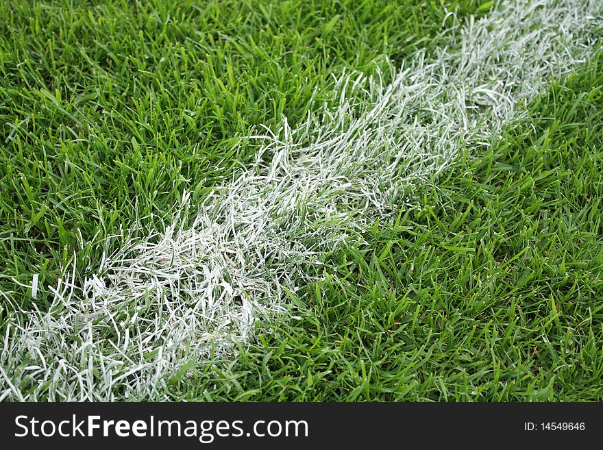 Natural green lawn with the markings on the pitch