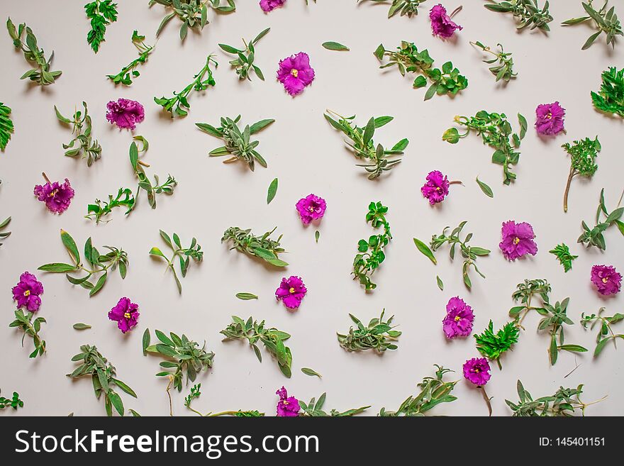 Pattern of pink flowers, petals, leaves on a pink background. Flat lay, top view