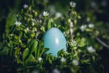 Spring Green Garden And Easter Eggs Royalty Free Stock Photography