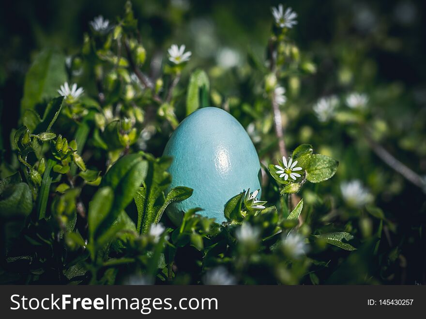 Spring Green Garden And Easter Eggs