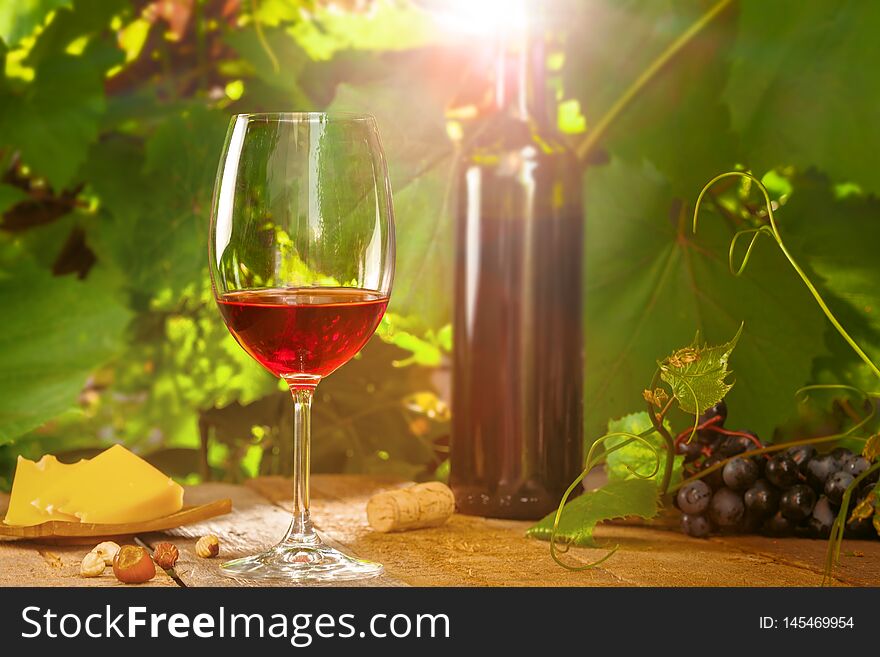 Glass of vintage red wine on a table, grapevine on background. Outdoor shot