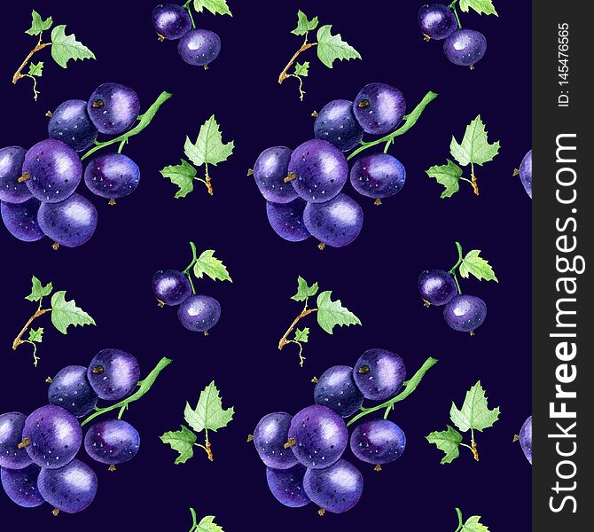 Currant black. Seamless pattern of summer currant. Currant black. Seamless pattern of summer currant