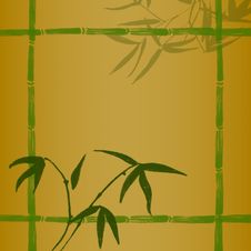 Bamboo Branches Royalty Free Stock Photo Bamboo Branches Royalty Free Stock Photo