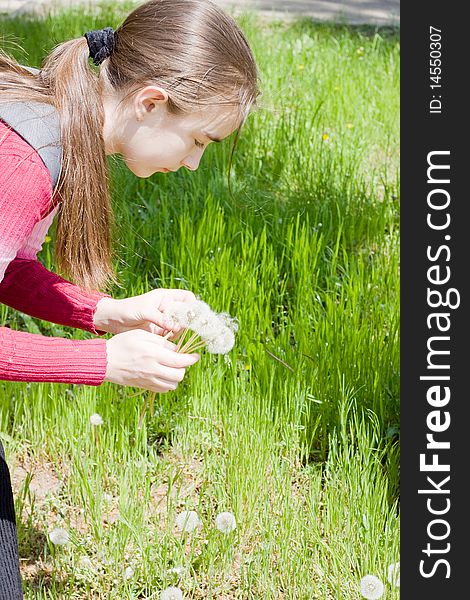 Girl and dandelions. Green grass