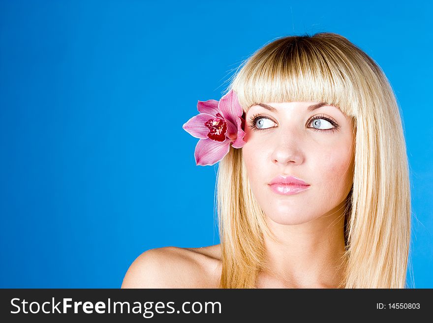 Beauty portrait of a woman with a flower on blue background. Beauty portrait of a woman with a flower on blue background