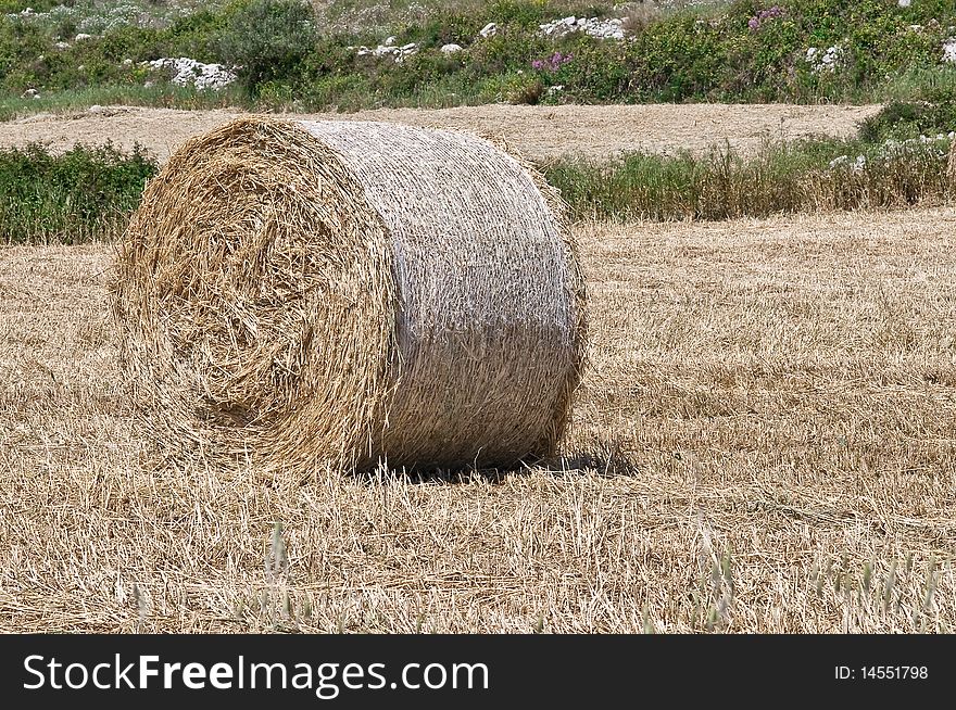 Bales of hay with the countryside and sky background