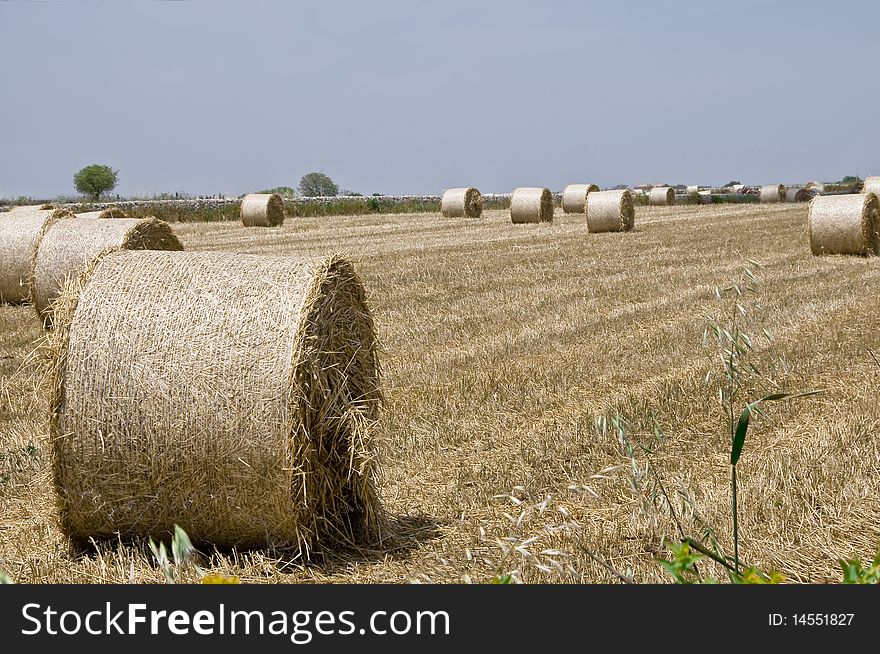 Bales of hay with the countryside and sky background