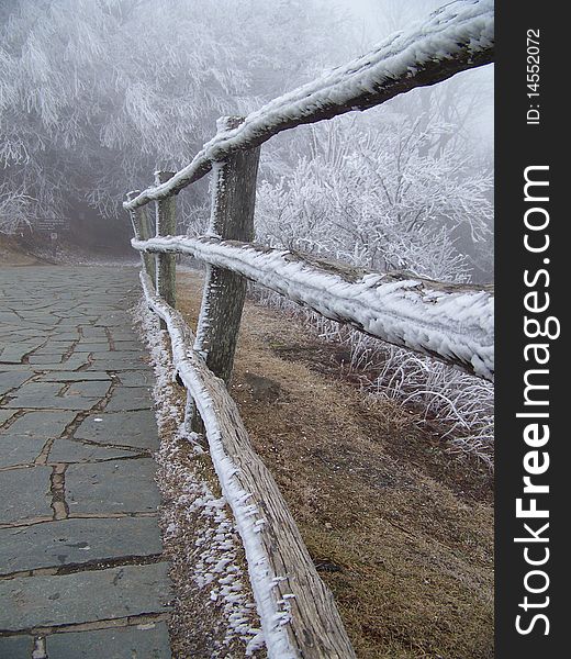 A view down a stone pathway, the handrail/fencing along the rail covered in snow/ice. A view down a stone pathway, the handrail/fencing along the rail covered in snow/ice