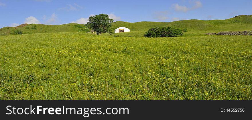 Continental plateau grasslands in north china,generous in thoughts,widen,