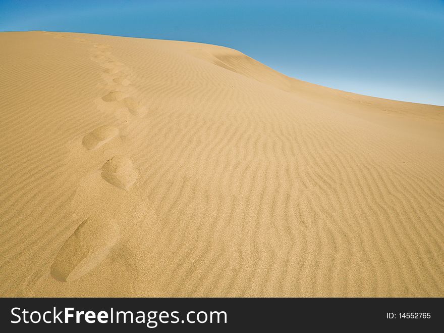 Foot prints in the Bruneau Sand Dune