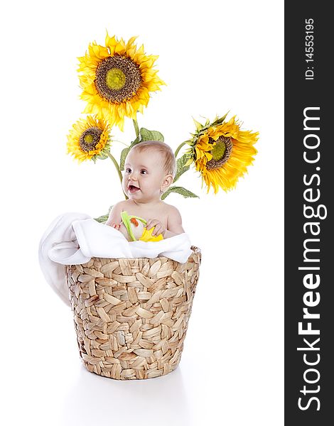 Baby girl in sunflowers on white