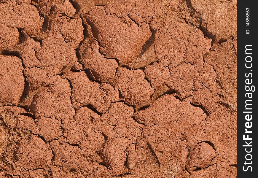 A close up on a piece of a red, arid land.