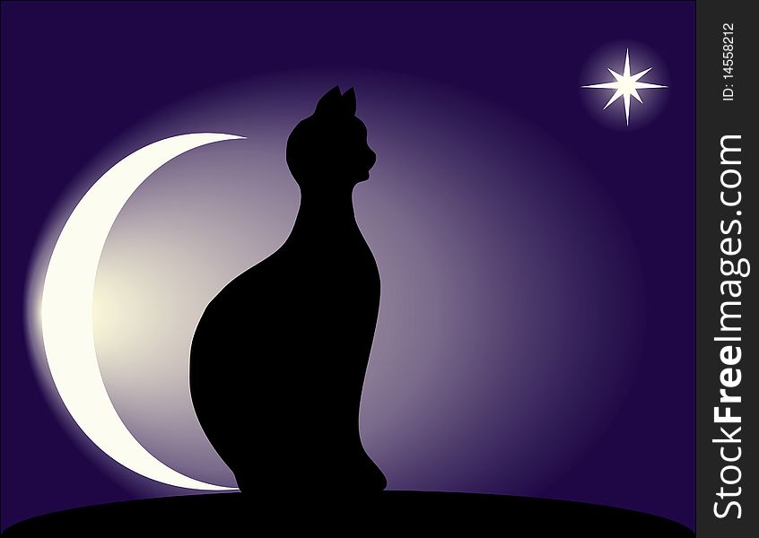 A be single cat sits at night on a roof and looks at a star. A be single cat sits at night on a roof and looks at a star