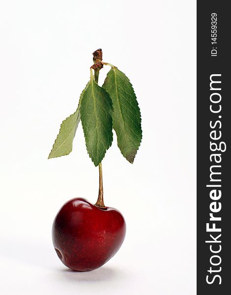 Cherry fruit on a white background