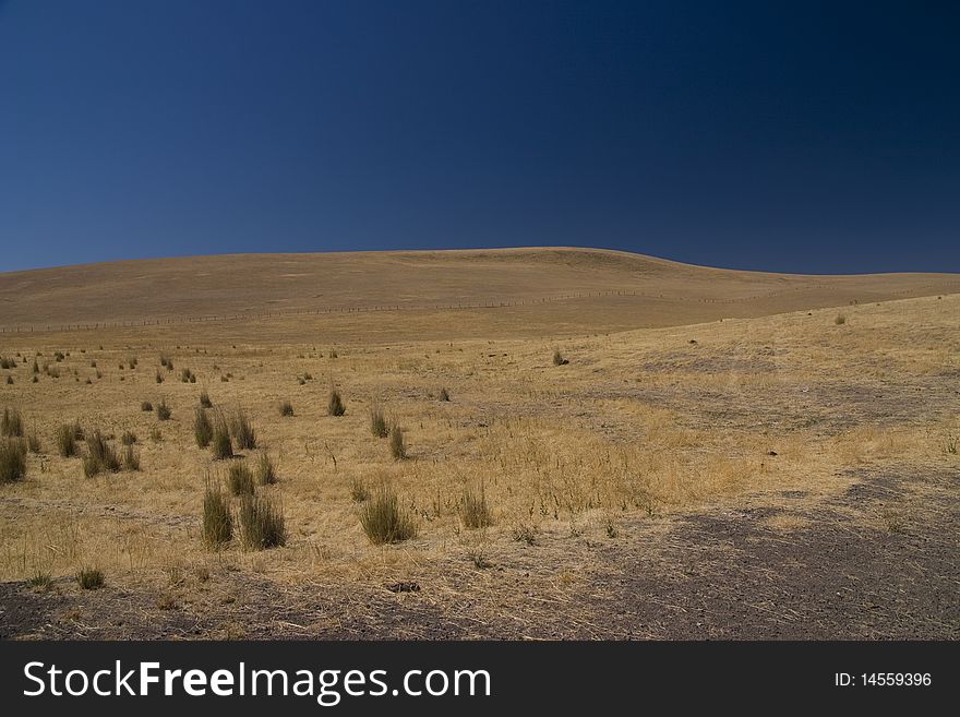 Large view of a field in the state of Idaho. Large view of a field in the state of Idaho