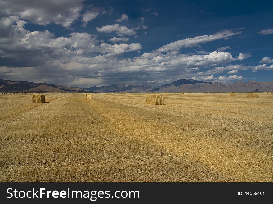 Large view of a field in the state of Idaho. Large view of a field in the state of Idaho