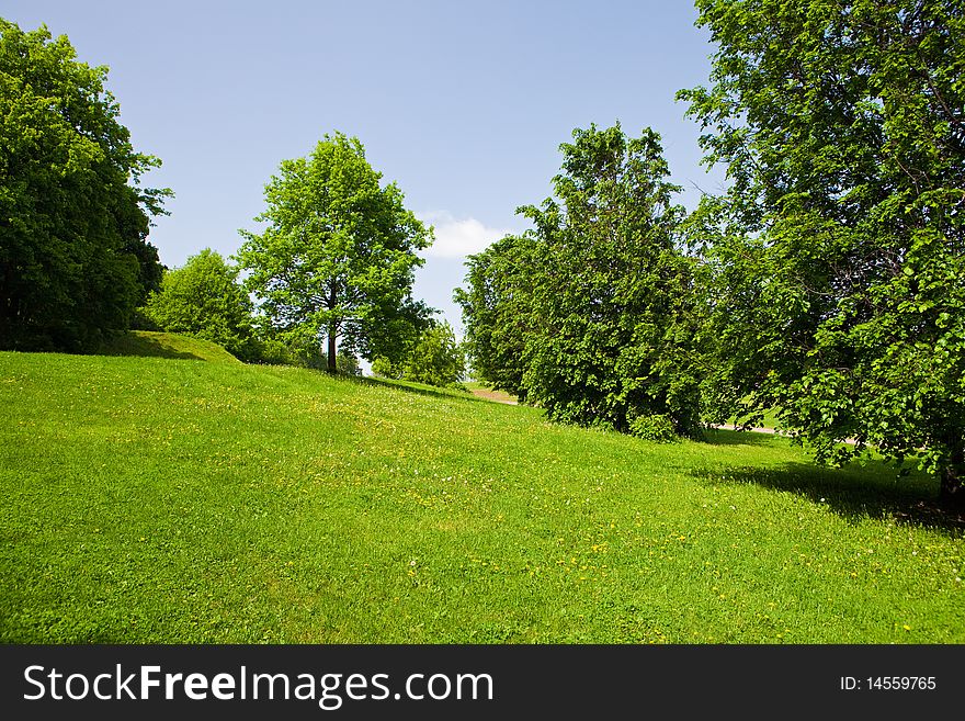 Summer glade with trees and blue sky