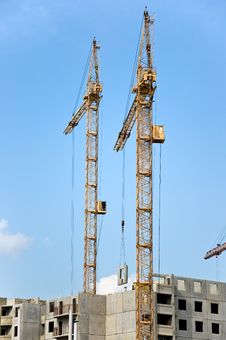 The Crane Elevating Stock Photo The Crane Elevating Stock Photo