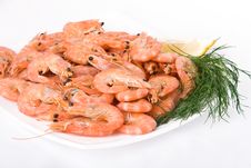 Boiled Shrimps On A Plate Stock Images Boiled Shrimps On A Plate Stock Images