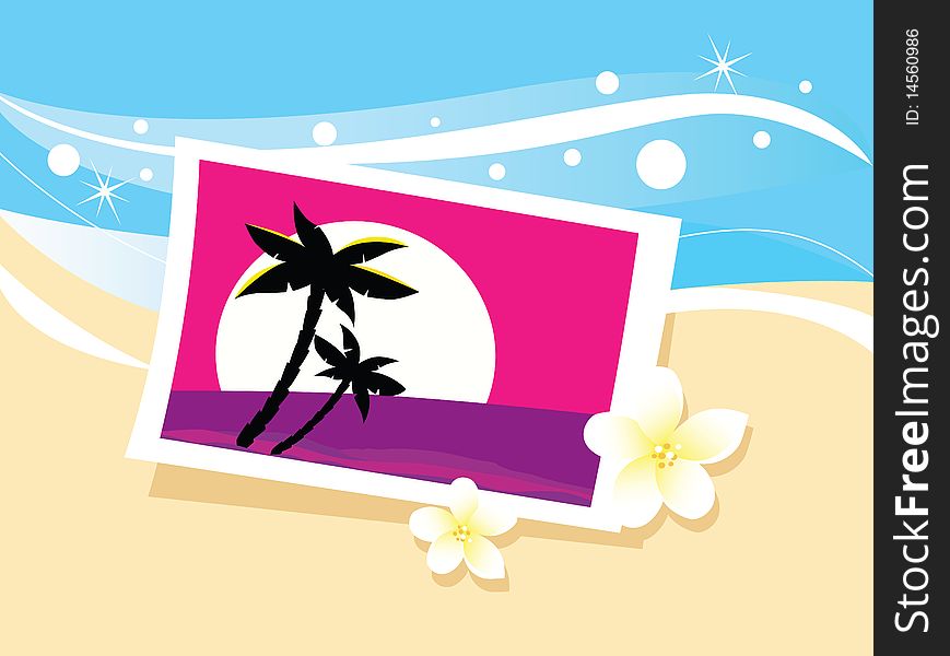 Photo with tropical palms and flowers in beach sand. Vector Illustration. Photo with tropical palms and flowers in beach sand. Vector Illustration.