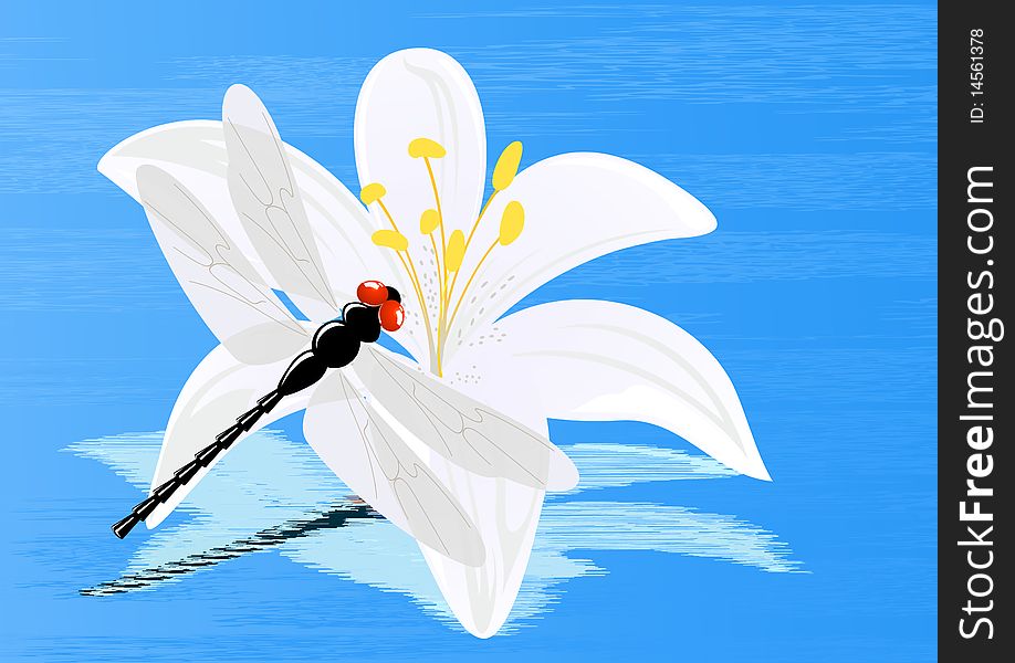 Dragonfly on lily,  illustration, AI file included
