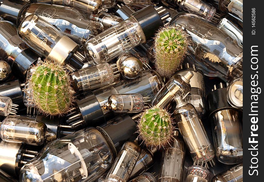 Nostalgia for a past-radio tubes of which have grown cacti. Nostalgia for a past-radio tubes of which have grown cacti