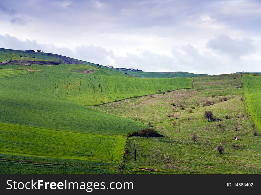 Landascape and grass with a mountain in background